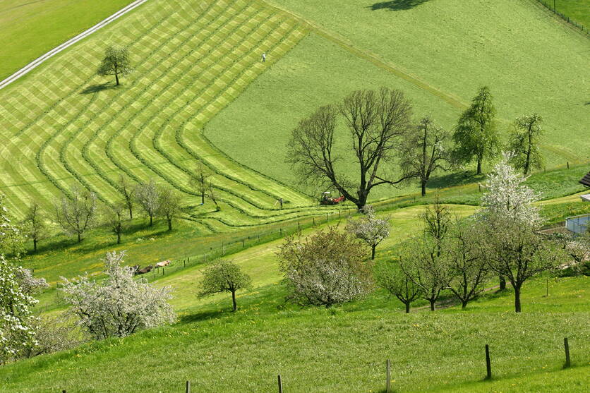 ab24_bild_teaser_biodiversitat.jpg ab24_bild_teaser_biodiversitat.jpg