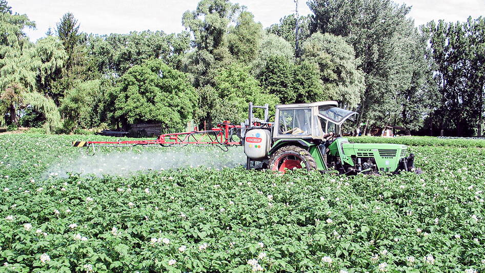 kartoffel_phytophthora_spritzen.jpg kartoffel_phytophthora_spritzen.jpg