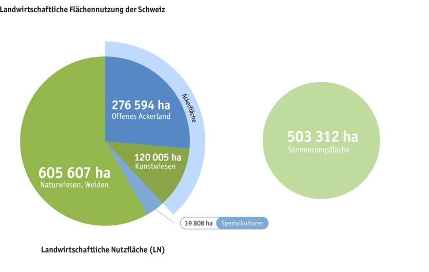 ab24_produktion_standort_grasland_grafik_flachennutzung_d_2.png ab24_produktion_standort_grasland_grafik_flachennutzung_d_2.png