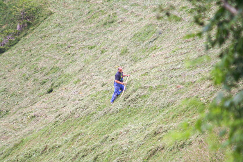 landwirt_am_heuen_manuela_brand_blw.jpg landwirt_am_heuen_manuela_brand_blw.jpg