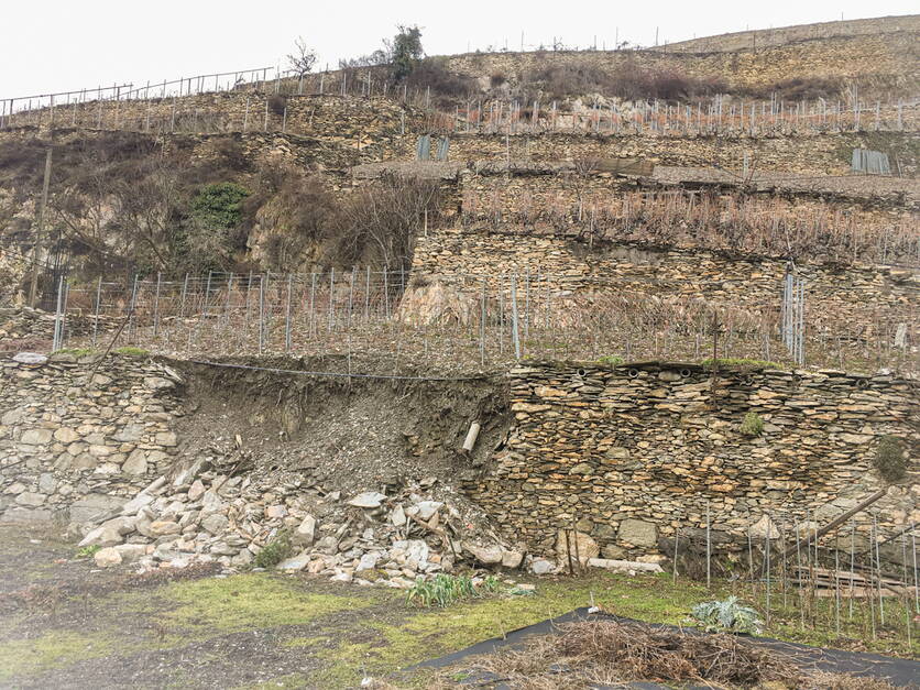 unwetter_mauer_img_5988.jpg unwetter_mauer_img_5988.jpg