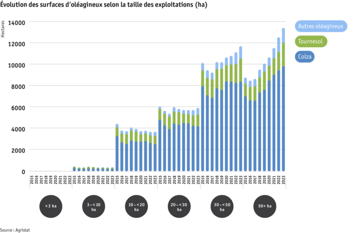 ab24_datentabelle_grafik_flachenentwicklung_olsaaten_nach_betriebsgrosse_f.png Zoom: ab24_datentabelle_grafik_flachenentwicklung_olsaaten_nach_betriebsgrosse_f.png