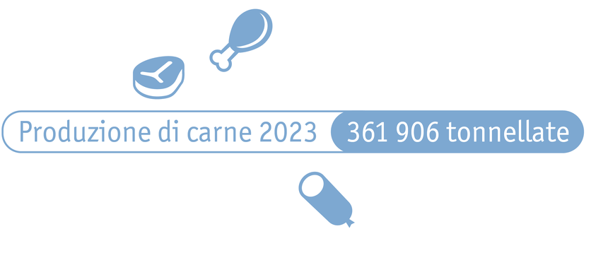 ab2024_produktion_produktion_von_fleisch_und_eiern_fbtt_paket_2_it.png ab2024_produktion_produktion_von_fleisch_und_eiern_fbtt_paket_2_it.png