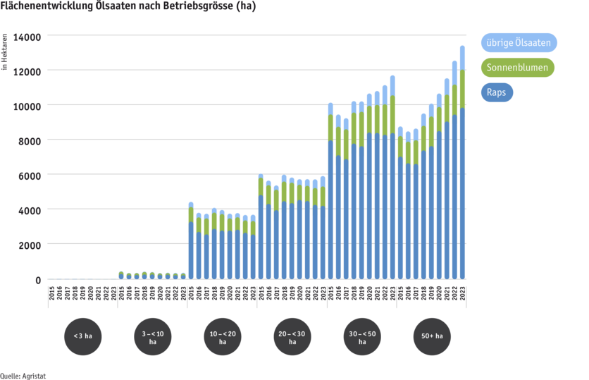 ab24_datentabelle_grafik_flachenentwicklung_olsaaten_nach_betriebsgrosse_d.png Zoom: ab24_datentabelle_grafik_flachenentwicklung_olsaaten_nach_betriebsgrosse_d.png