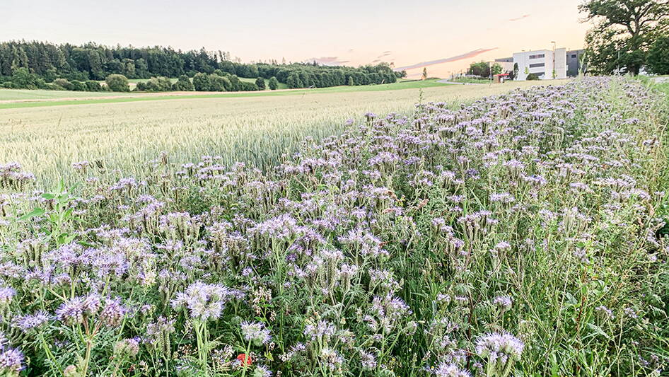 umwelt.jpg umwelt.jpg