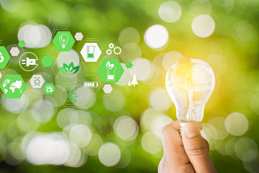 bild_qunav.jpg bild_qunav.jpg