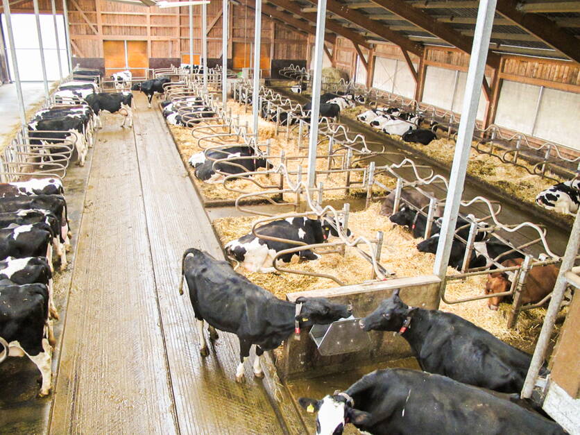 img_7633.jpg img_7633.jpg