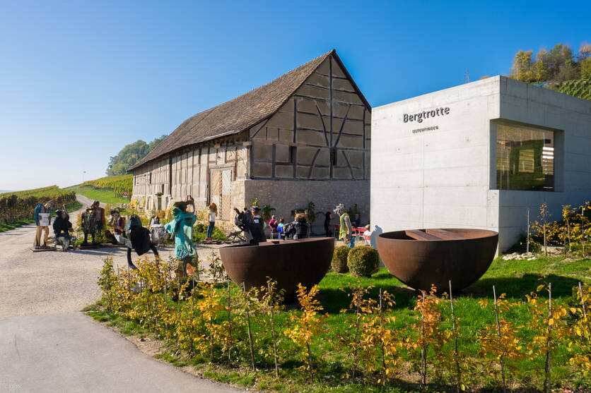 bergtrotte_castcpic.jpeg bergtrotte_castcpic.jpeg