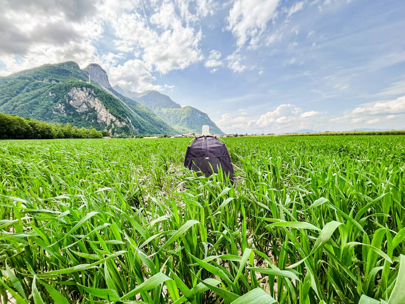 foto_5_-_syndrome_des_basses_richesses_sbr_alan_storelli.jpg foto_5_-_syndrome_des_basses_richesses_sbr_alan_storelli.jpg