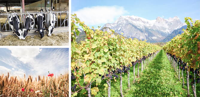 bildkomposition_prod.systembeitraege-668.jpg bildkomposition_prod.systembeitraege-668.jpg