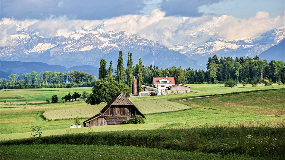 betriebe.jpg betriebe.jpg