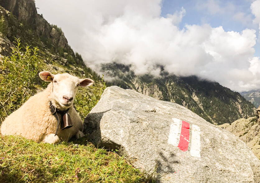 foto_sommerung2.jpg foto_sommerung2.jpg