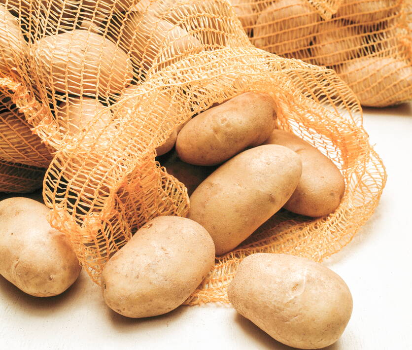 20060406_kartoffeln_gabrielabraendle_002.jpg 20060406_kartoffeln_gabrielabraendle_002.jpg